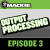 DL1608 Podcast Episode 3 - Output Processing