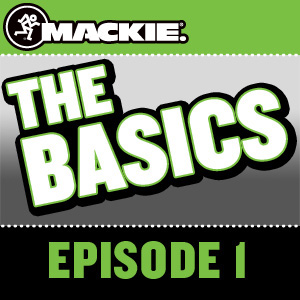DL1608 Podcast Episode 1: The Basics