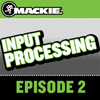 DL1608 Podcast Episode 2: Input Processing